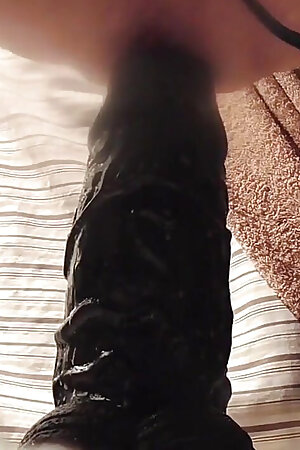 Insane and Loving It Part 1