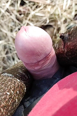 chubby guy decided to take a break from work and fuck a tree