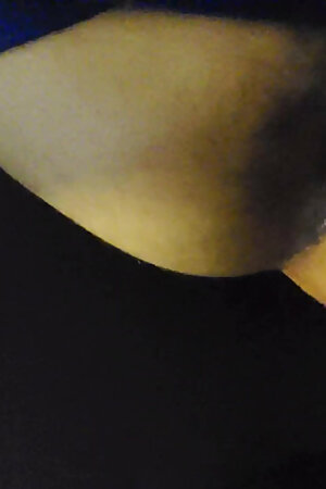 Young Arab Top Breeding Obedient White