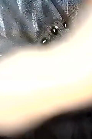 Black Pillar Skirt Colored Pany Owned Panthau Is a Pleasure