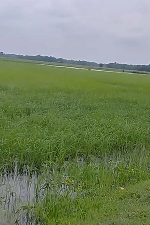 Today is very beautiful day.I'm going to outside in bike ri but weather is not good