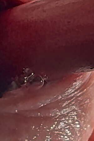 Penis Hole Masturbating