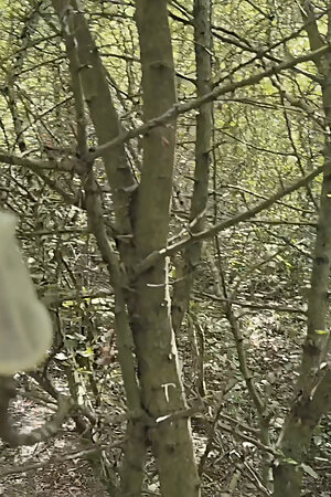 Jerkoff outdoor in the woods wathcing old porno magasin trough a lot of used condoms full with sperm.