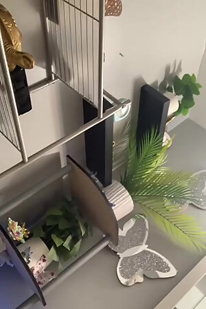 suck that dick now let me bust a nut in your ass guys but you have to pay me or fuck me off