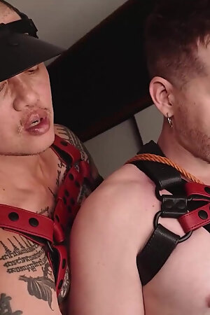 Axelabysse Harnessed