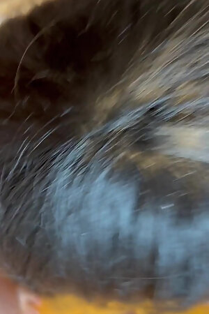 Amateur Crossdresser Blowjob