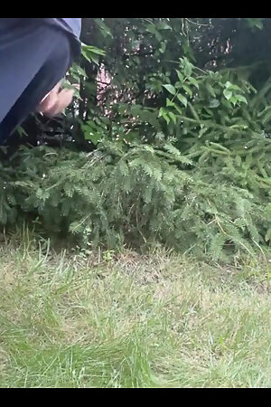 Enjoying the Spring rain