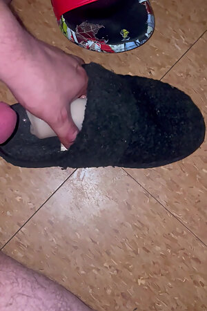 Quick shot on neighbour slipper