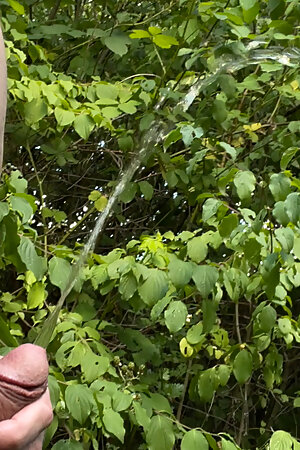 Pissing in nature