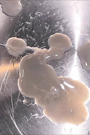 EASTER CHOCOLATE QUINTESSENCE