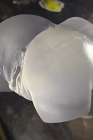 I empty my balls in my transparent dolls