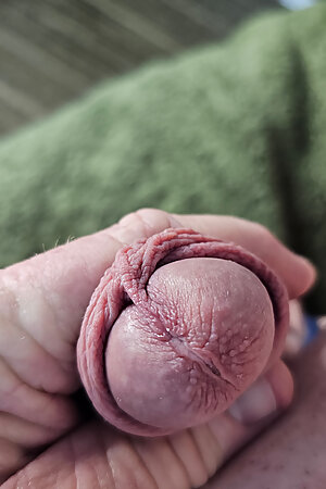 Esitim Moaner plug fucking my ass.