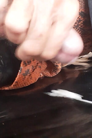 DebbieSmall in Hold Up Stockings & Faux Snakeskin Mini Skirt