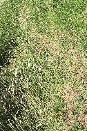 Naked cock ring walk in public woods