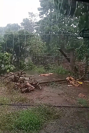 Jerk off with My Fucking Doll While It's Raining Heavily Outside.