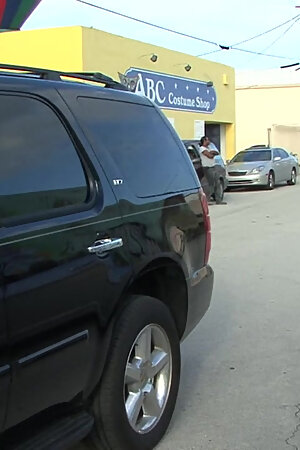 Big John Stud + Prince Junior