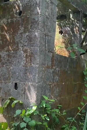 Taking Me for a Ride