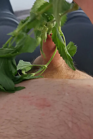 Masturbating my small cock with nettle in riding leggings.