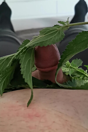 In riding leggings, pampering the tip of my little cock with nettle.