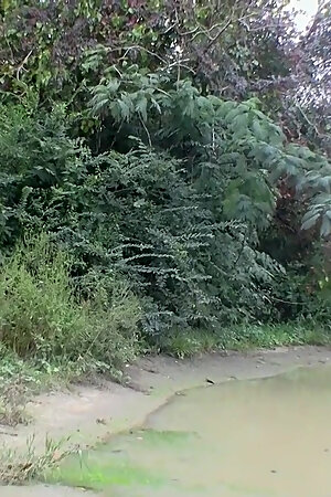 Fit Buddies Beat Their Meat