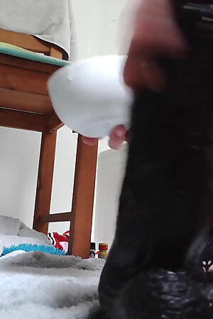 Penetrated by BBC in Cheerleader Outfit in Bathroom