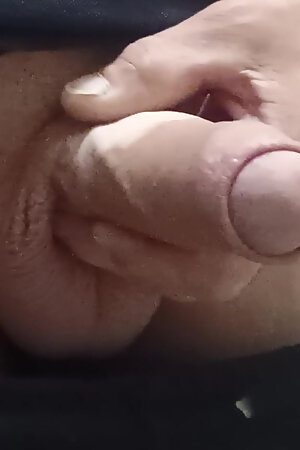 Cock