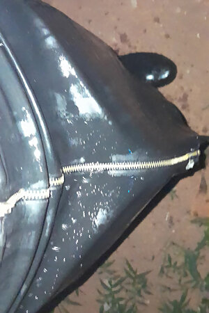 Leather Shemale with Beer