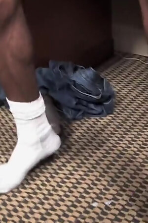 Arquez + Taz Alexanders